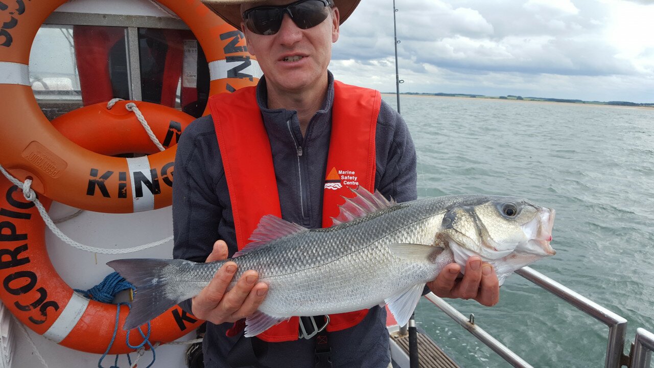 Bass