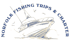 [Norfolk Fishing Trips & Charter]