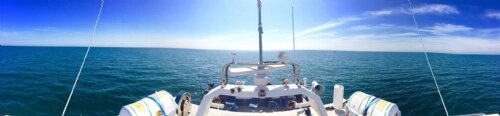 [View]